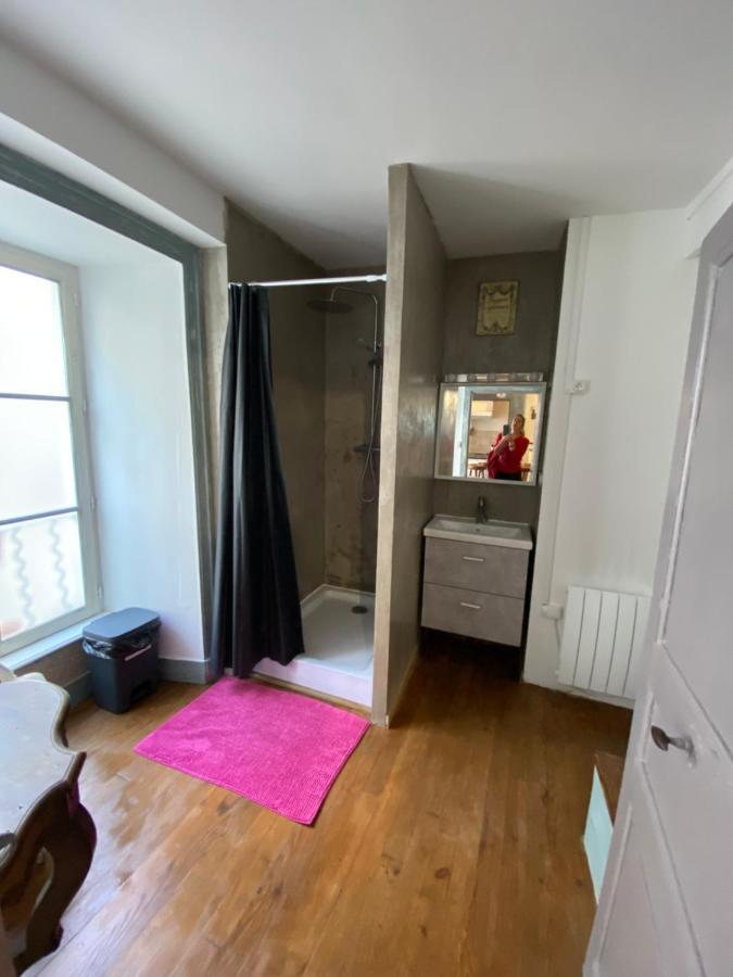 Charmant Appartement Au Coeur Des Volcans D Auvergne 米拉 外观 照片