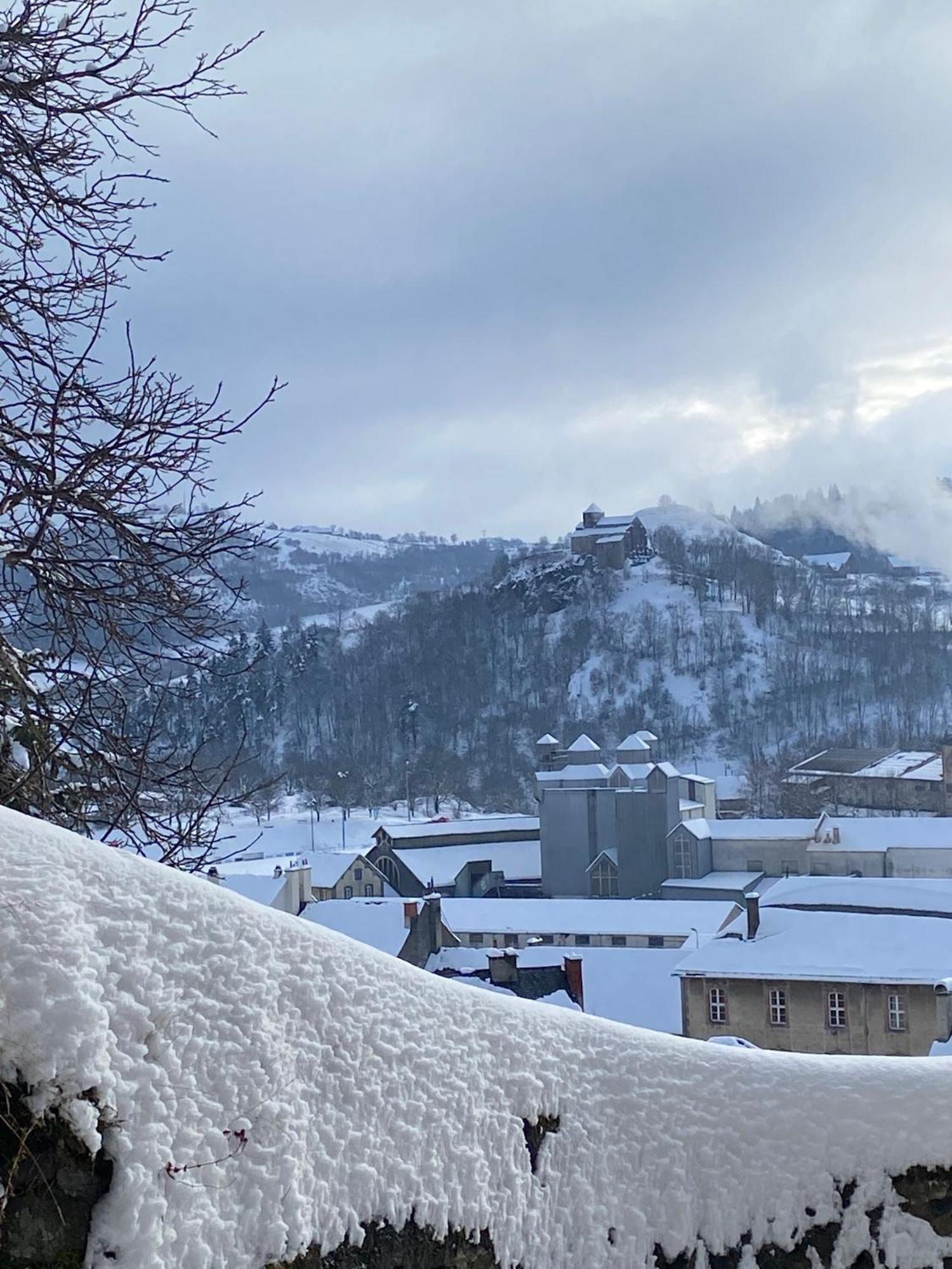 Charmant Appartement Au Coeur Des Volcans D Auvergne 米拉 外观 照片